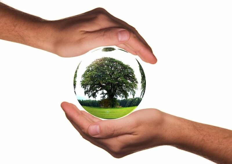 agenda verde eurodiputados