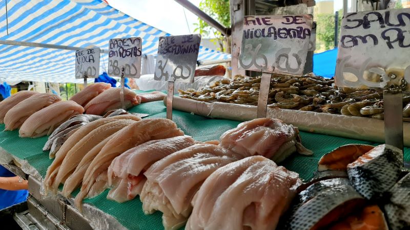 protección rayas tiburones