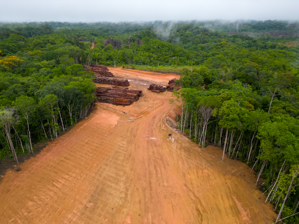 Alianza Cero Deforestación Ley Congreso