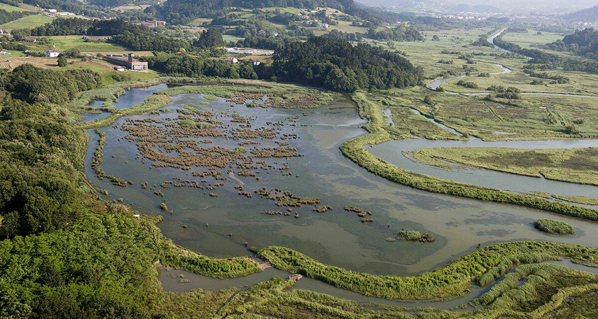 Rios Busturialdea Urdaibai