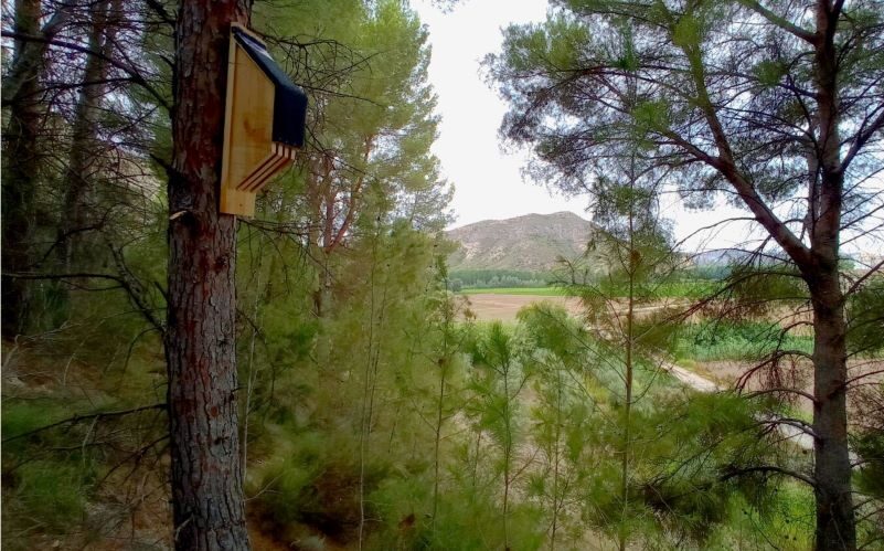 Fluviatilis control biológico