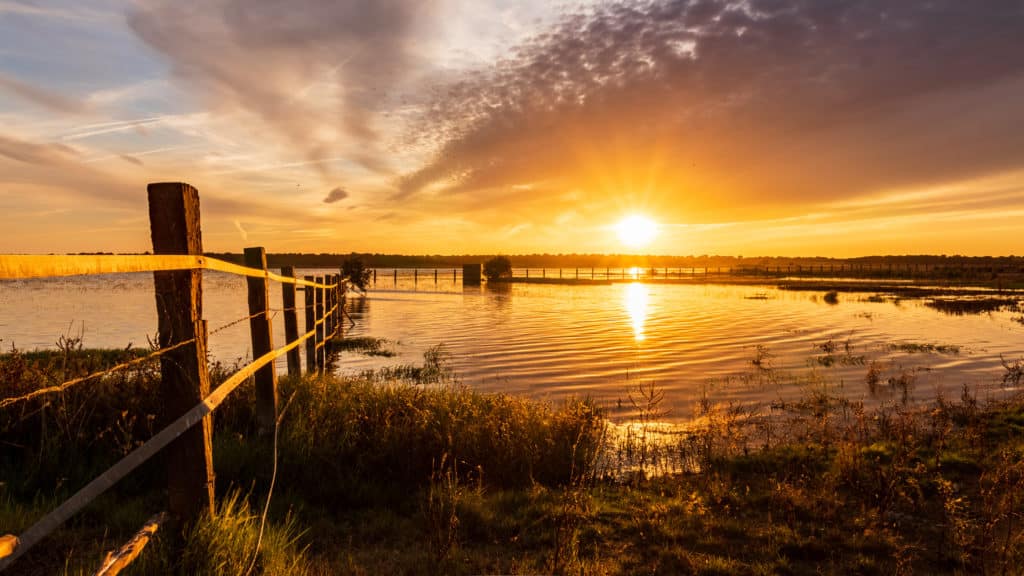Doñana Dehesa de Abajo