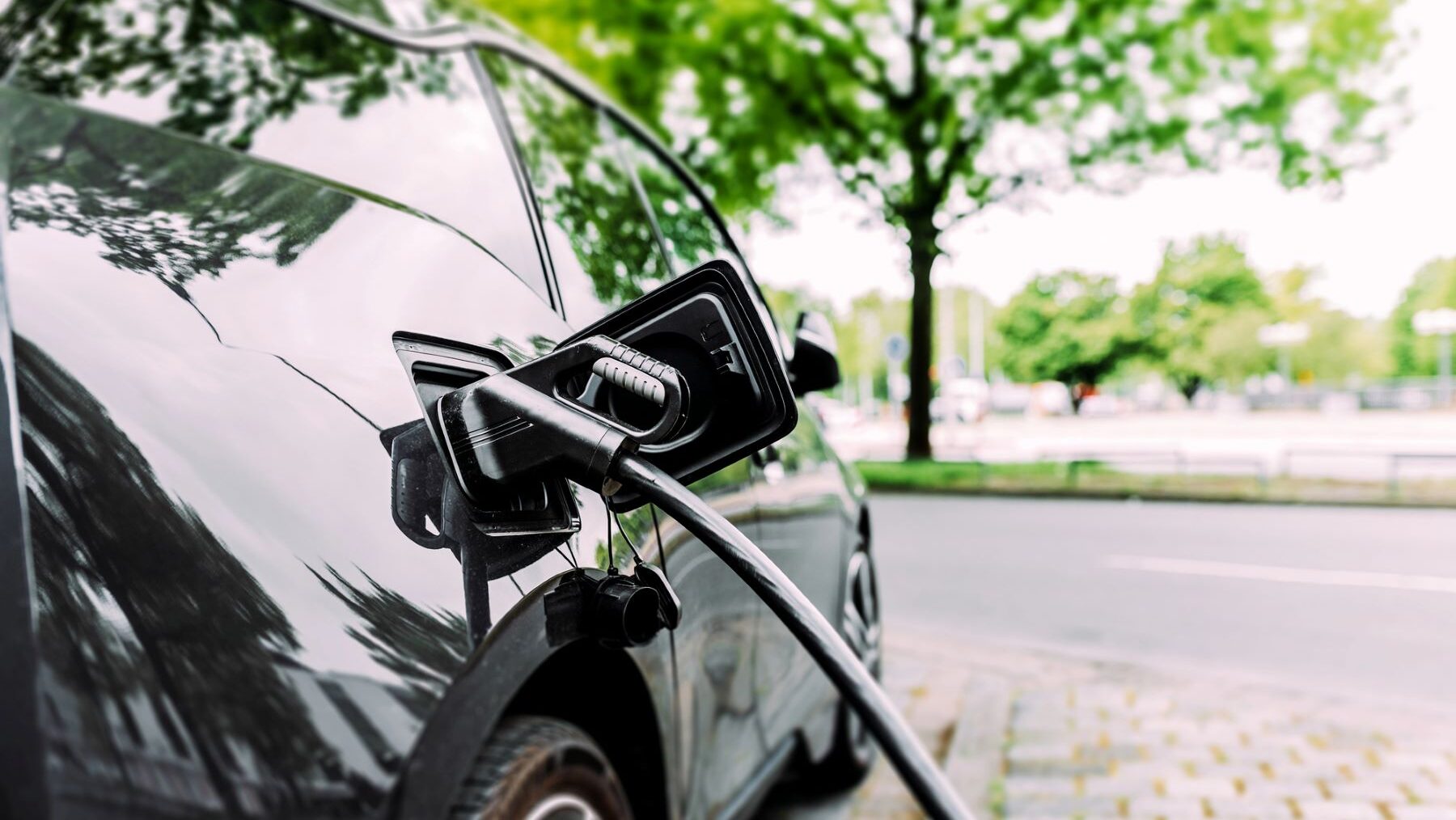 coches eléctricos carga