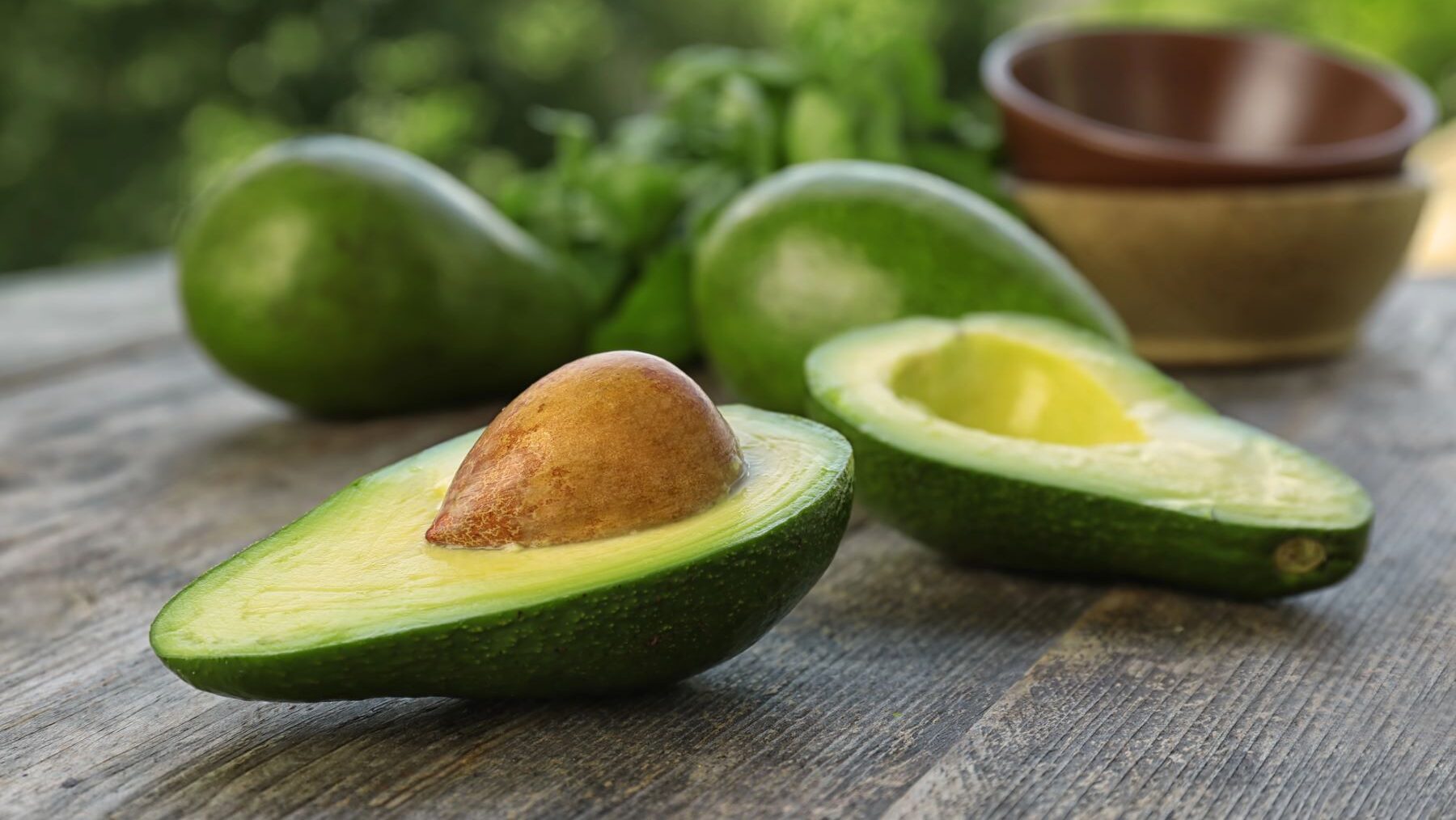 aguacate o palta oro verde