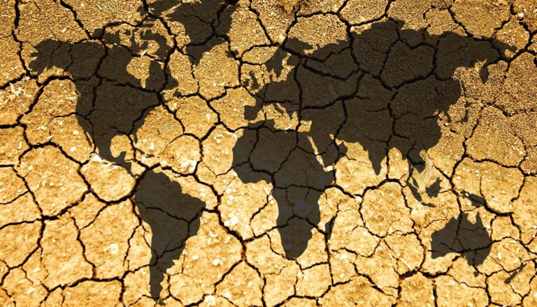 Día Internacional de la Conservación del Suelo 2024 degradación