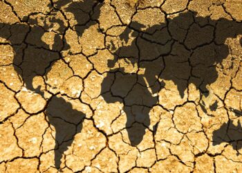 Día Internacional de la Conservación del Suelo 2024 degradación