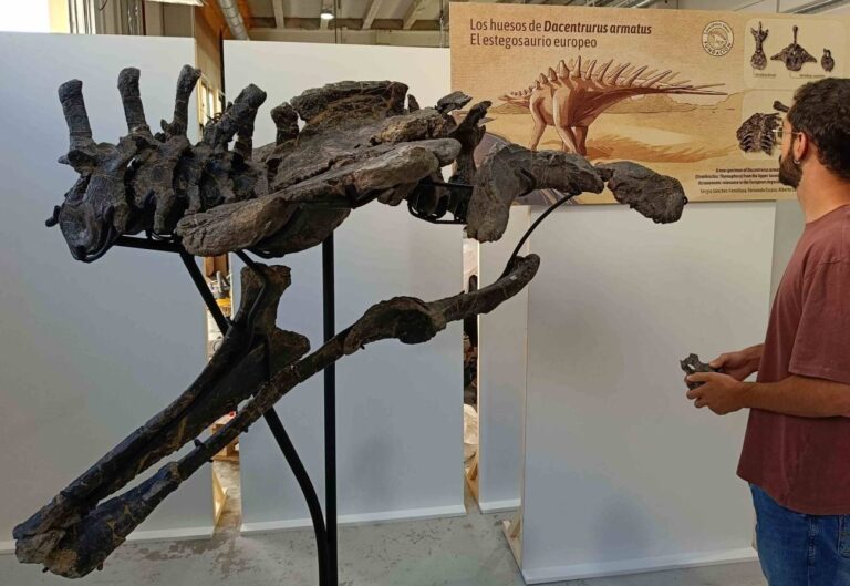 Fundación Conjunto Paleontológico de Teruel-Dinópolis dinosaurio