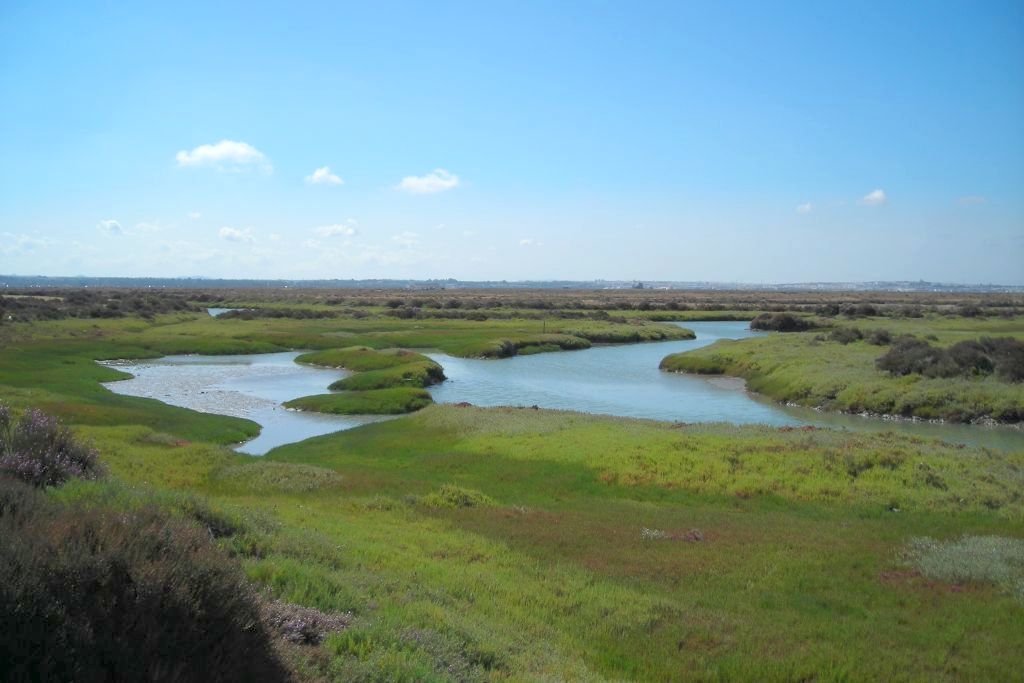Parque Natural Bahía de Cádiz Andalucía