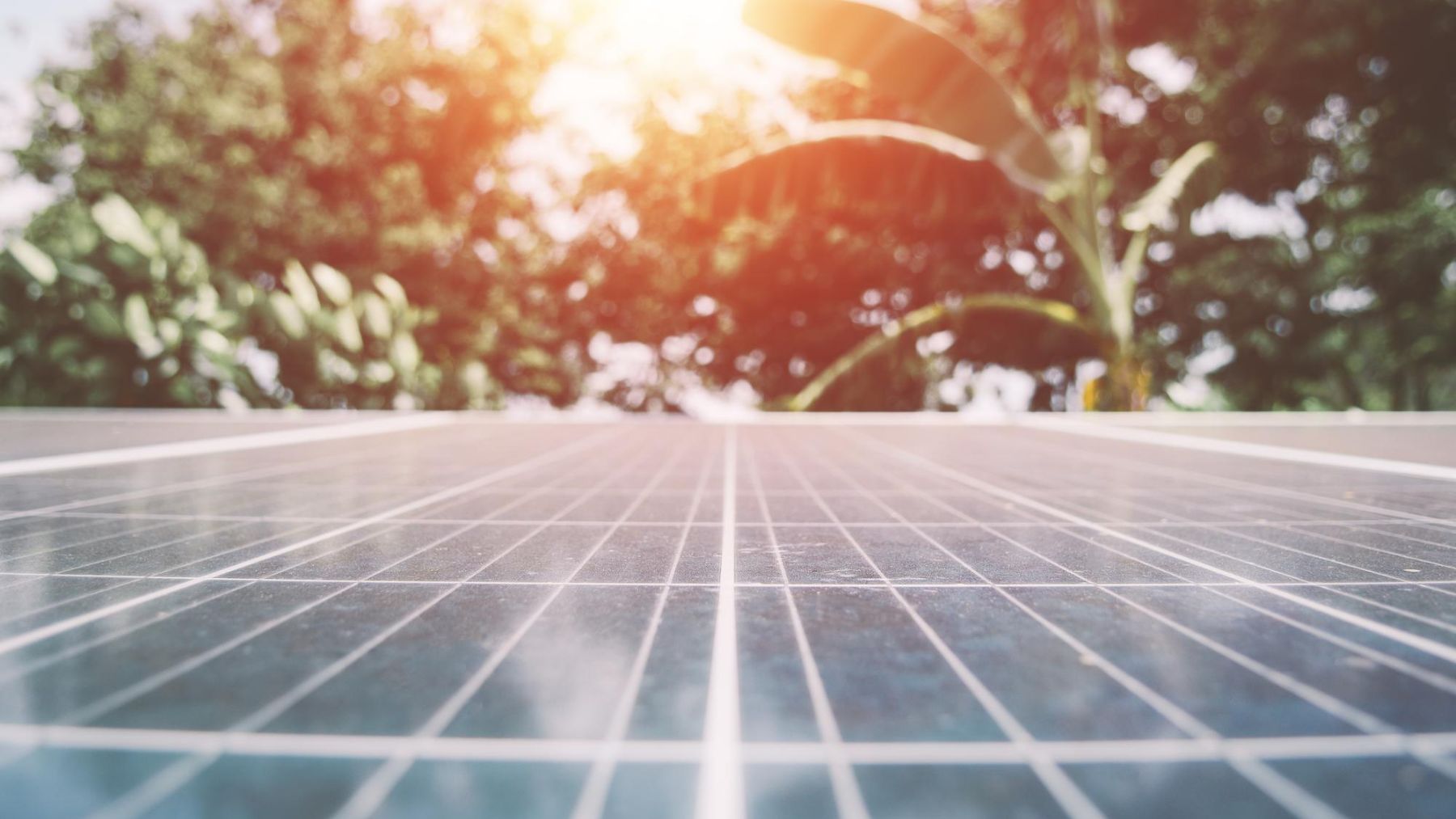 antimonio paneles solares