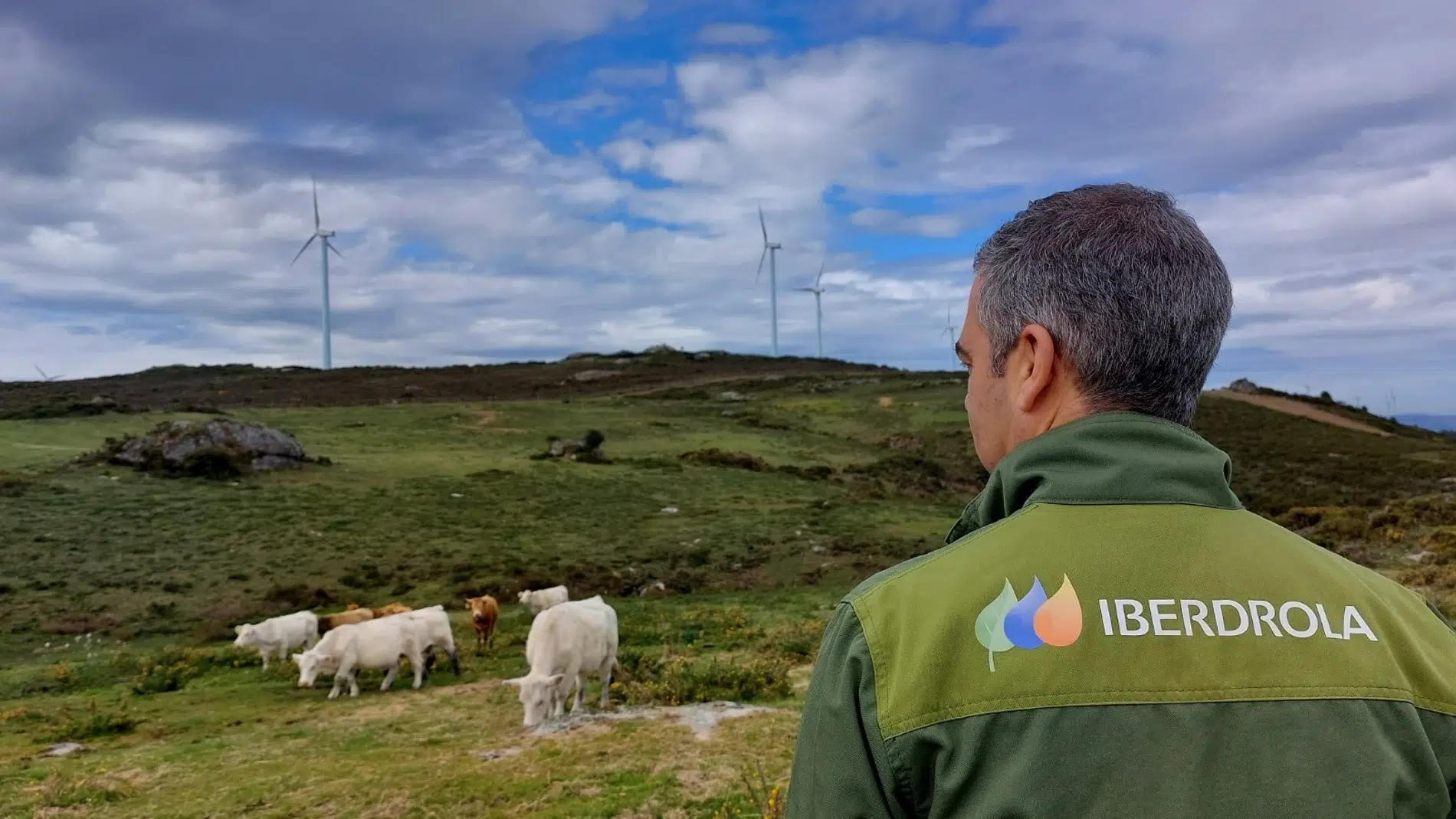 Biodiversidad Iberdrola energías renovables