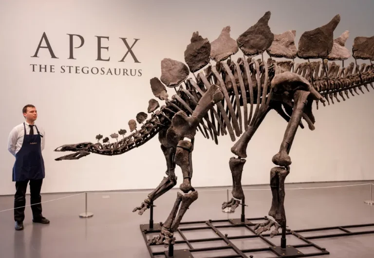 Dinosaurio Sotheby's