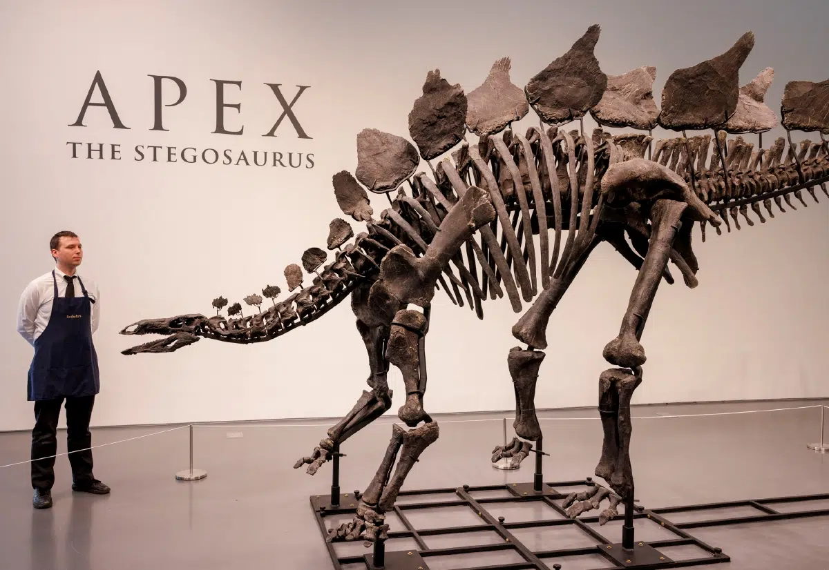 Dinosaurio Sotheby's