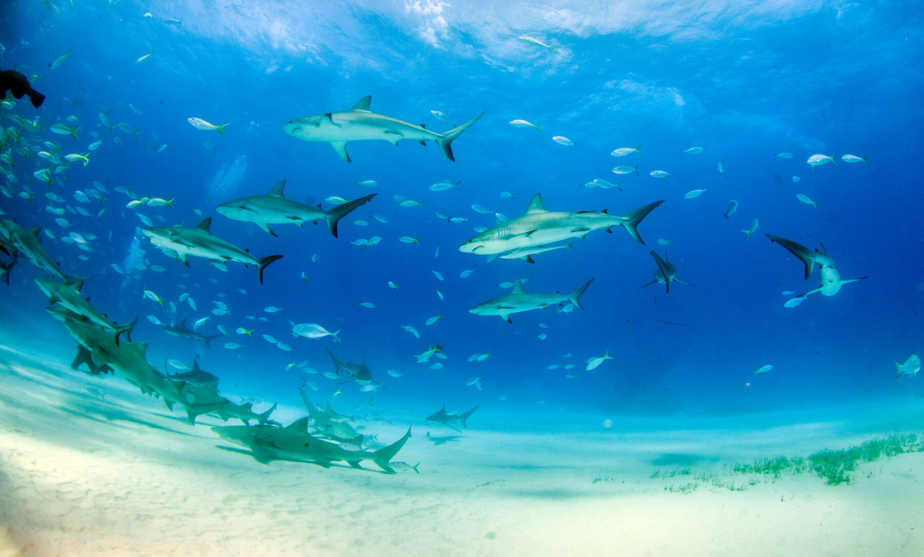 espacios marinos protegidos MITECO