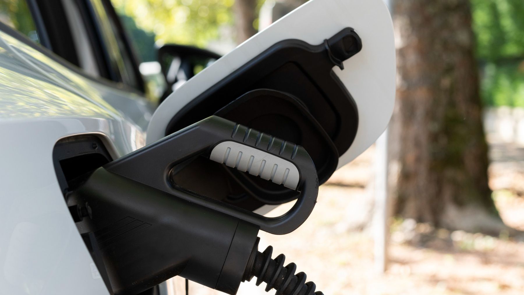 hidrogeno coches electricos