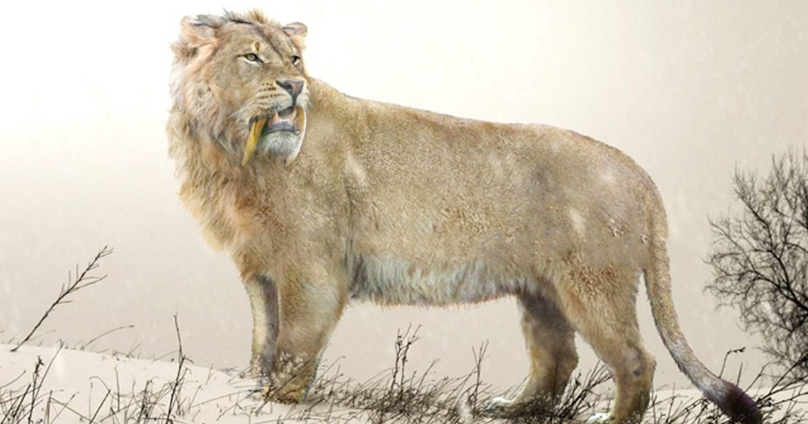 León de las cavernas España