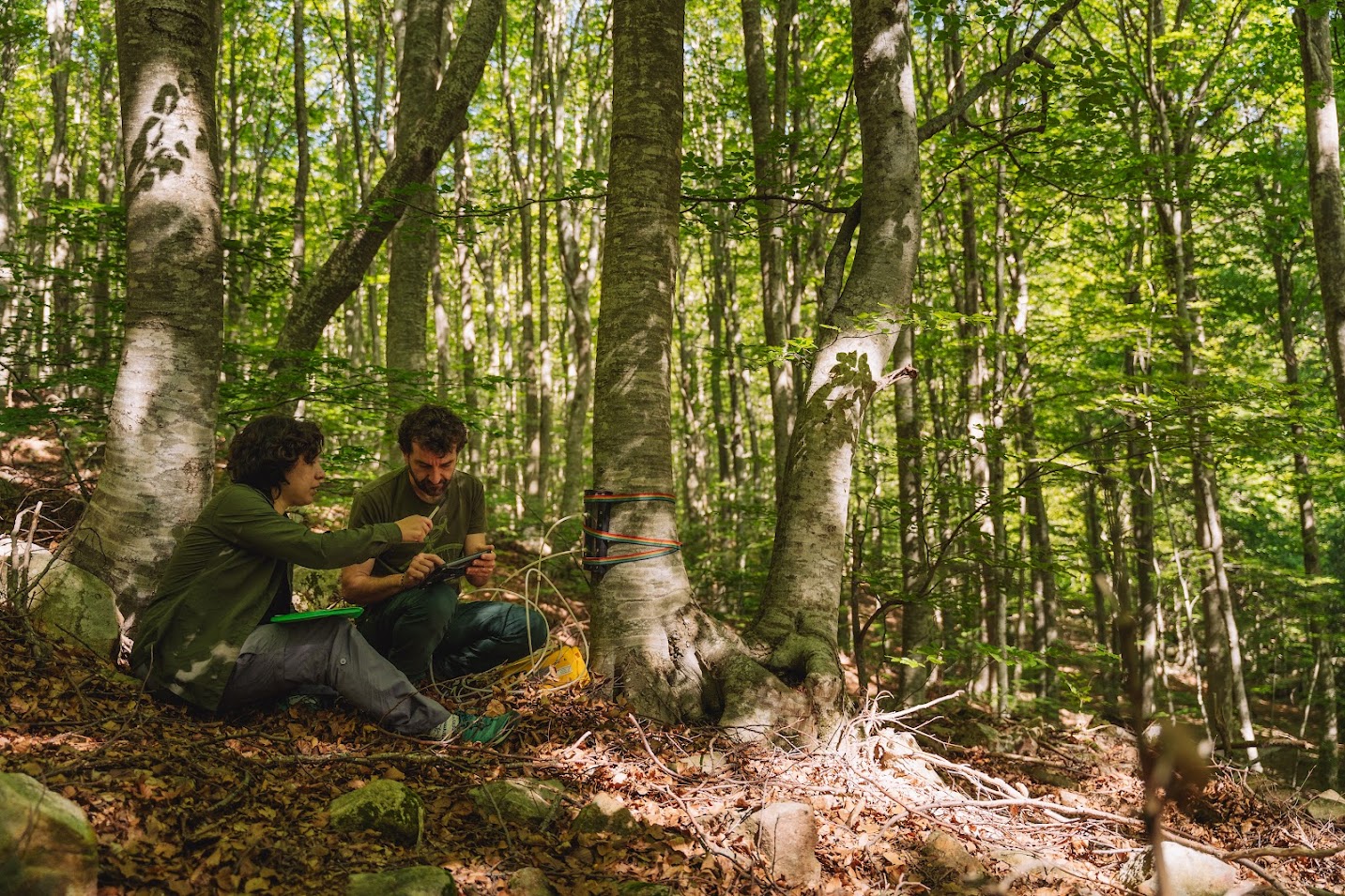 Microorganismos árboles metano cambio climático