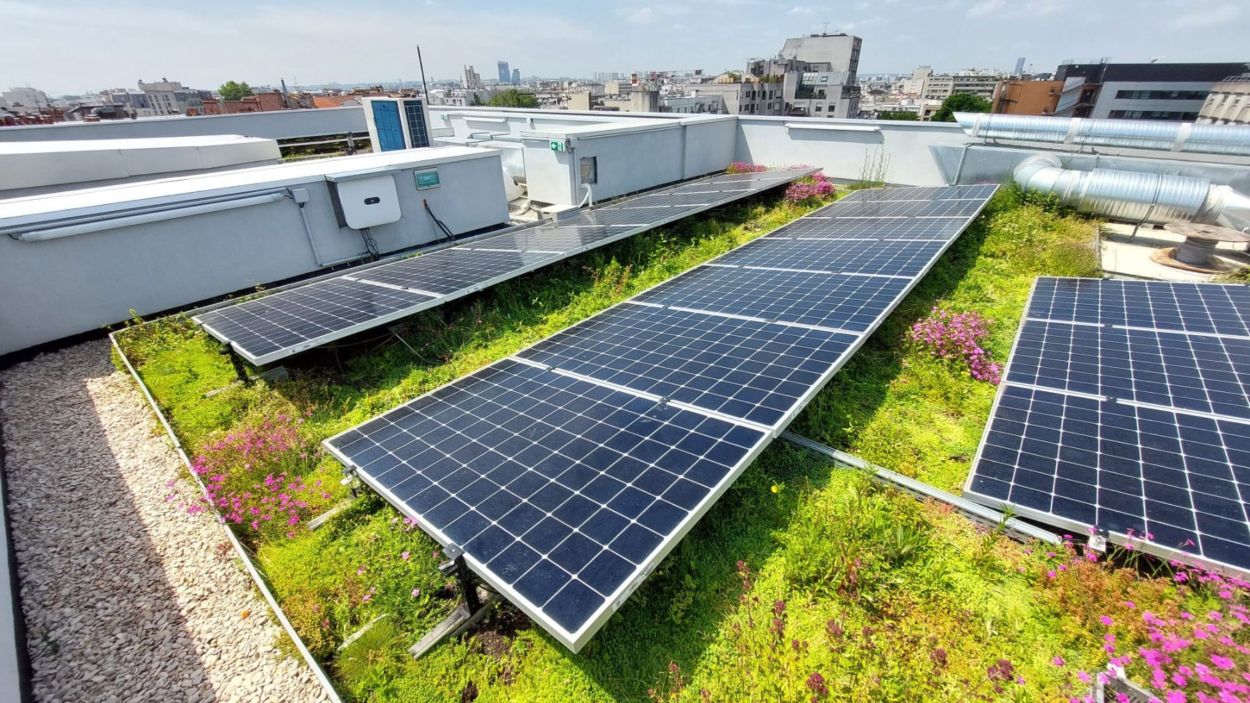 Oasis Biosolar Energia limpia