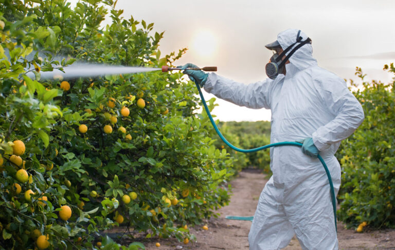 Pesticidas ilegales Doñana Tablas Daimiel