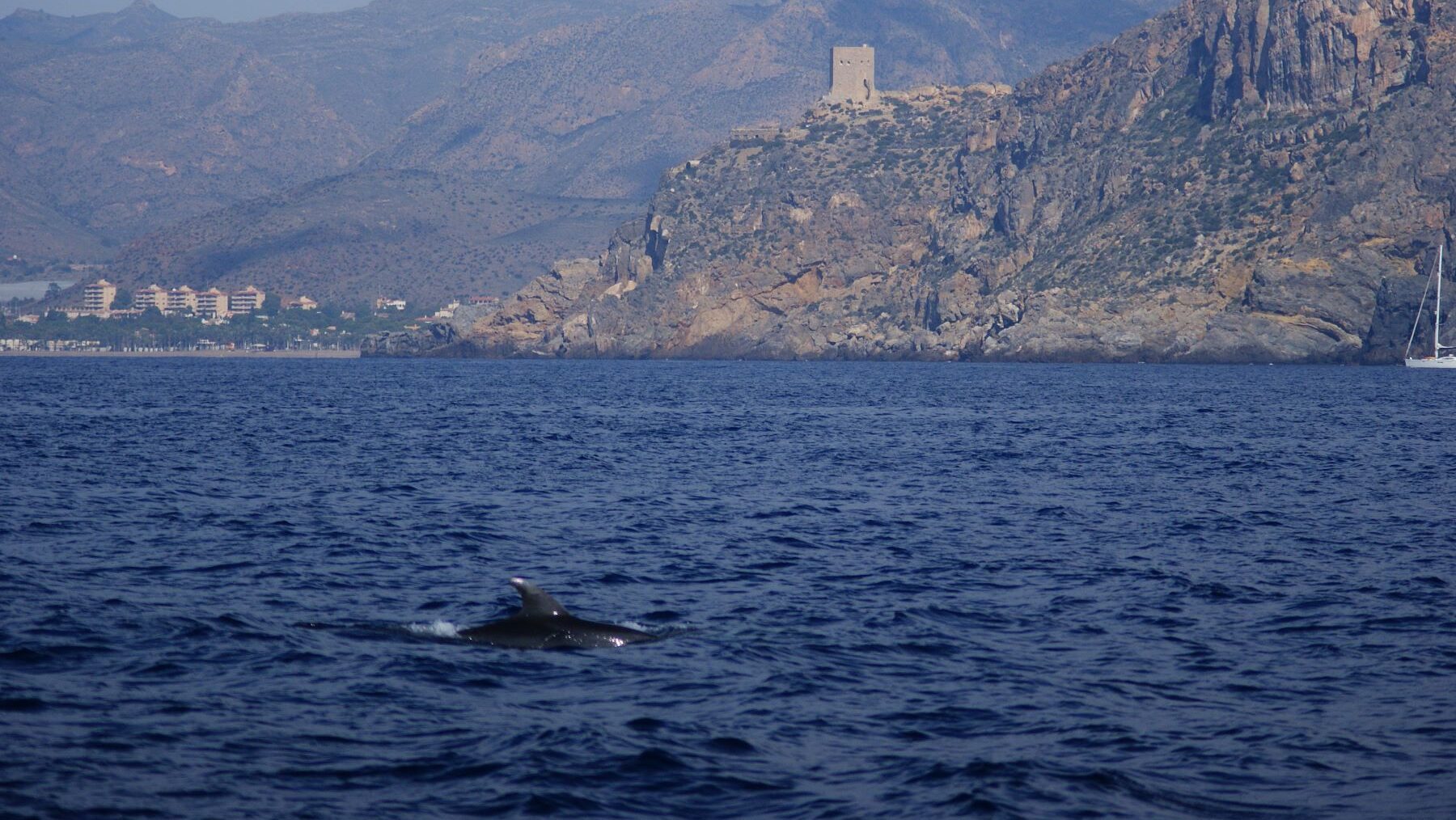 Mazarrón cultivo de peces
