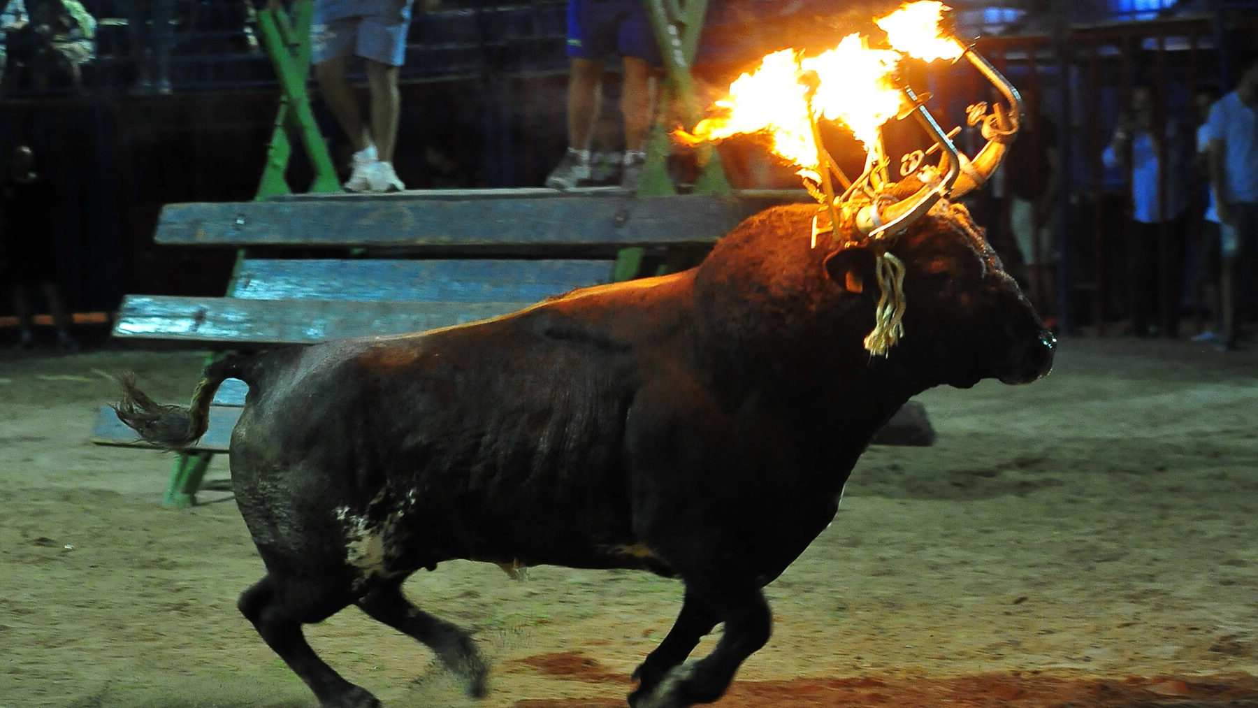 bous al carrer Alfafar
