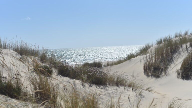 Doñana Andalucía