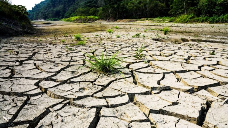 agua España medidas