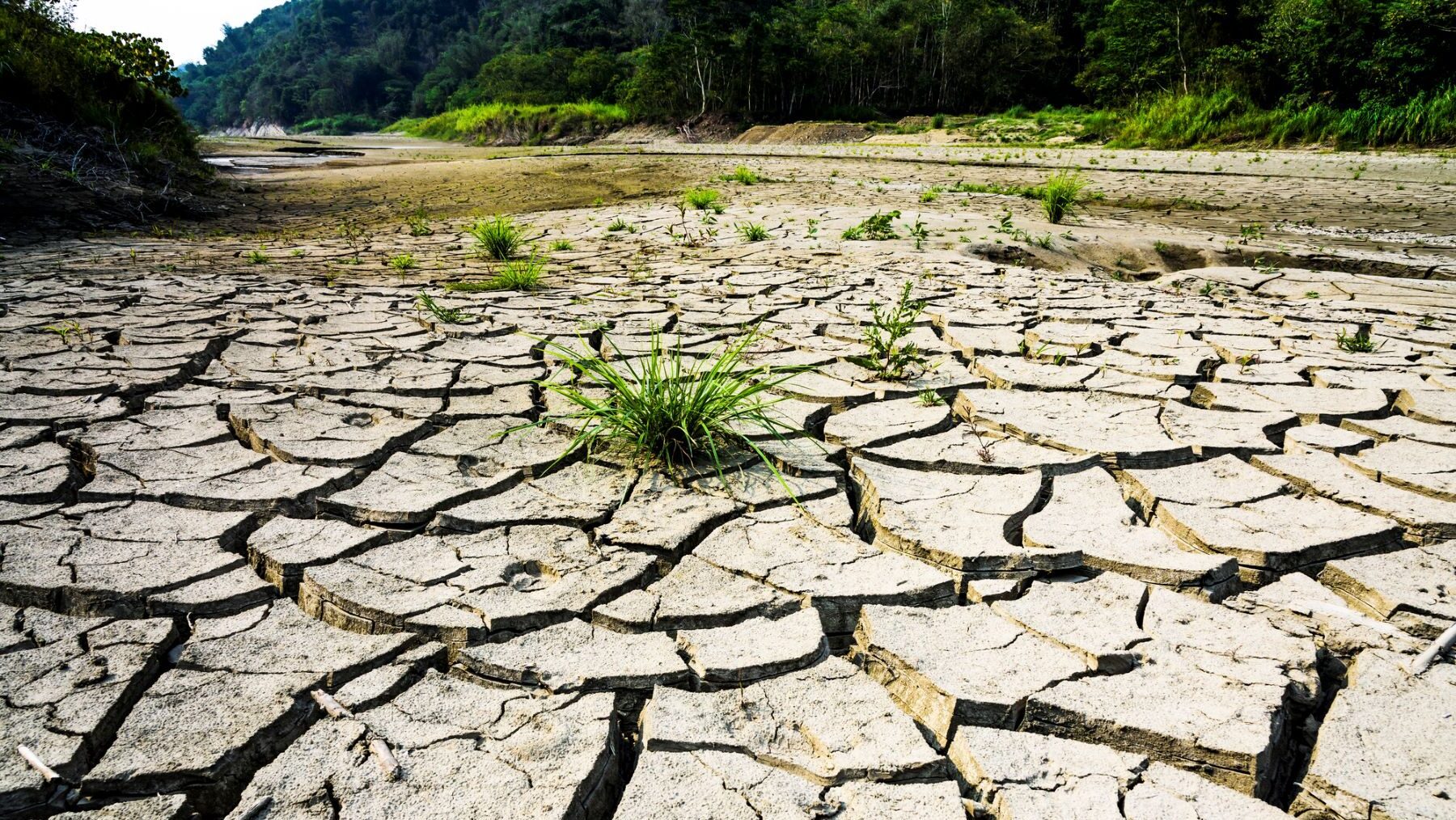 agua España medidas
