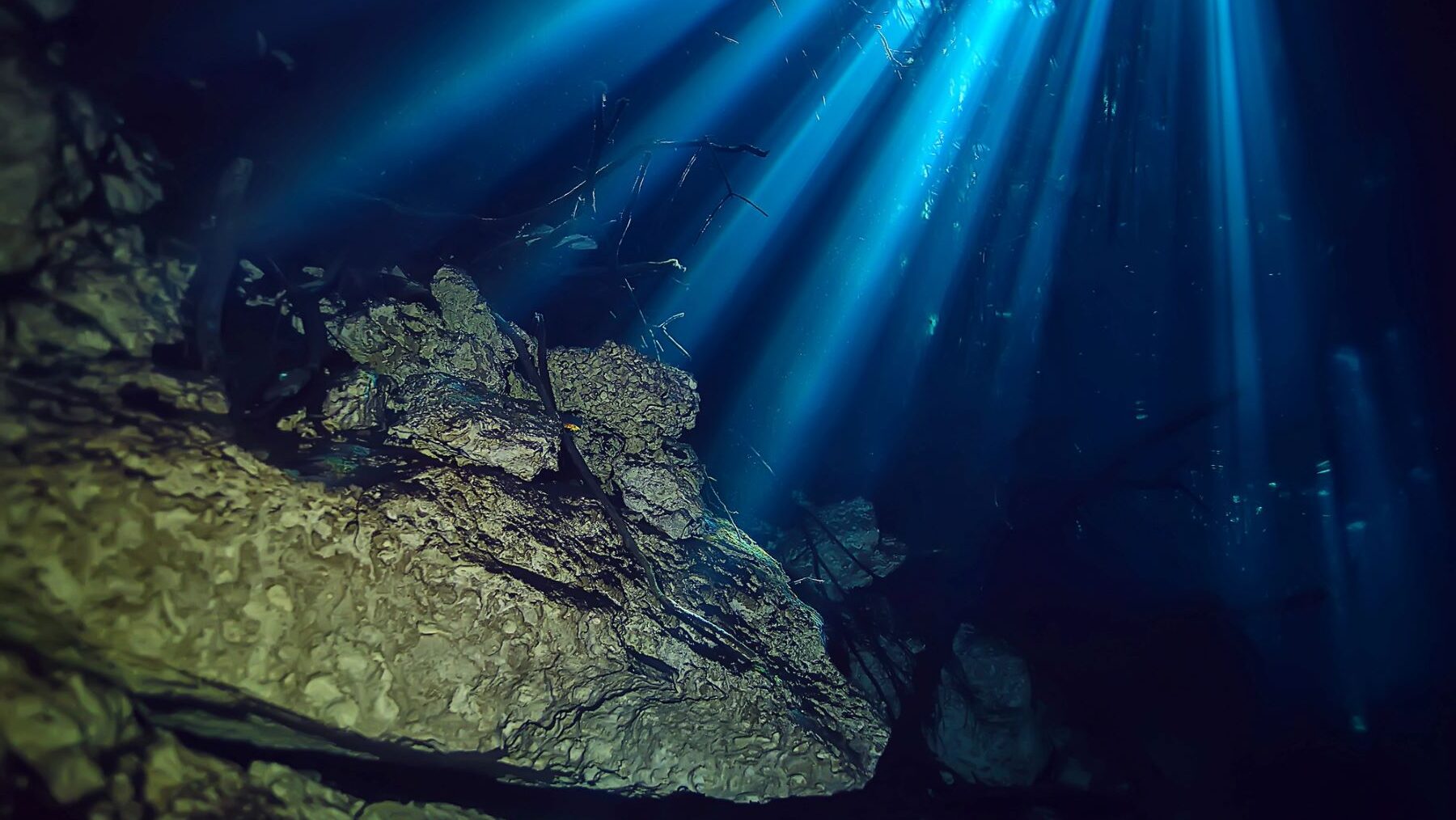 minería fondos marinos