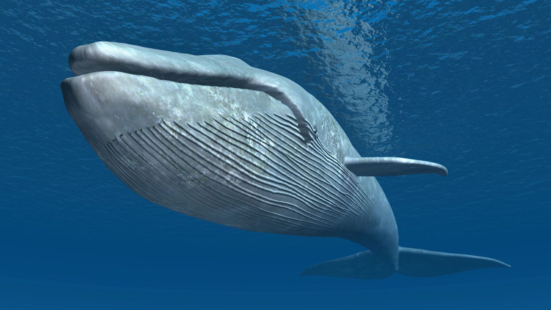 carbono azul calentamiento global