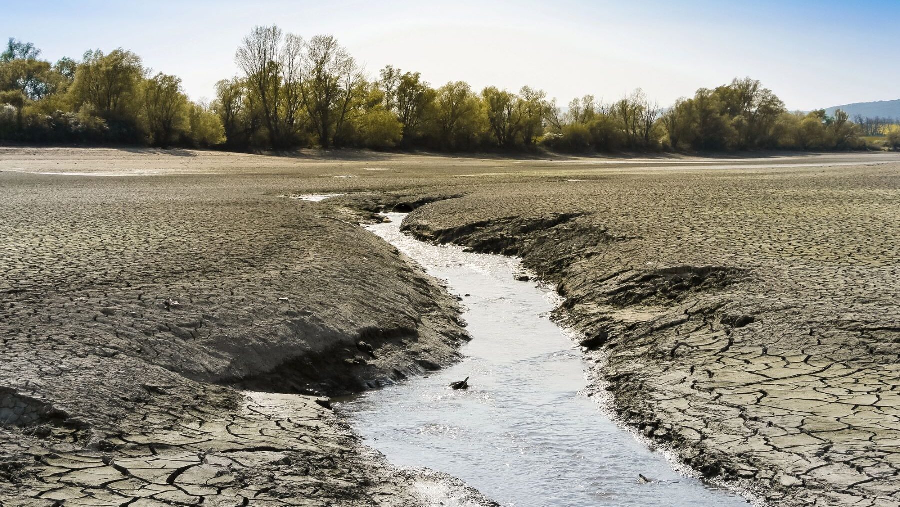 la niña Latinomérica el niño