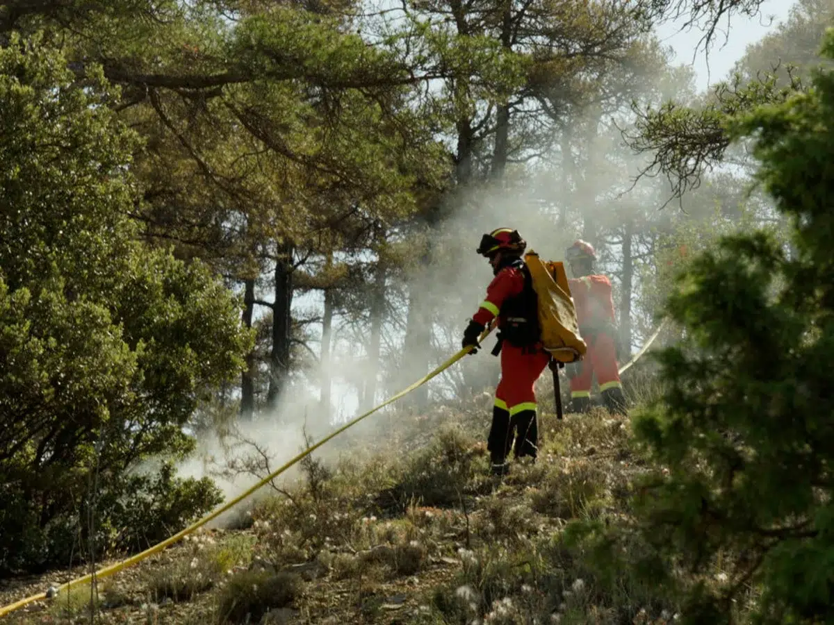 Incendio forestal Corbalán Teruel controlado