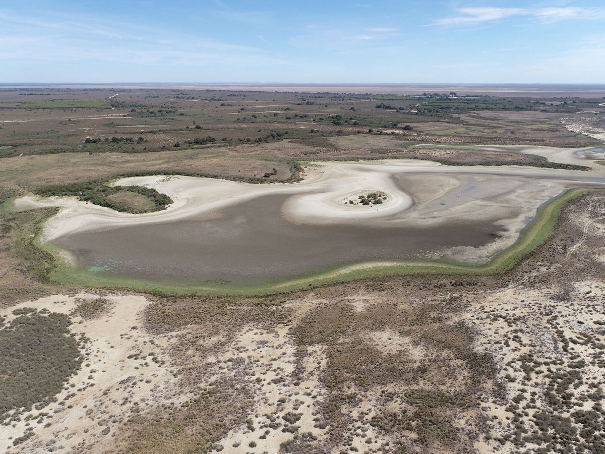 Abastecimiento captación agua Matalascañas Doñana