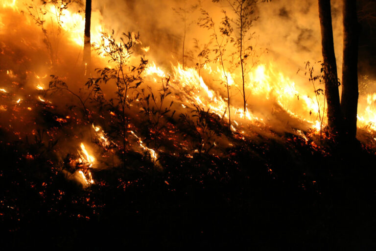Cambio climático incendios forestales 2023