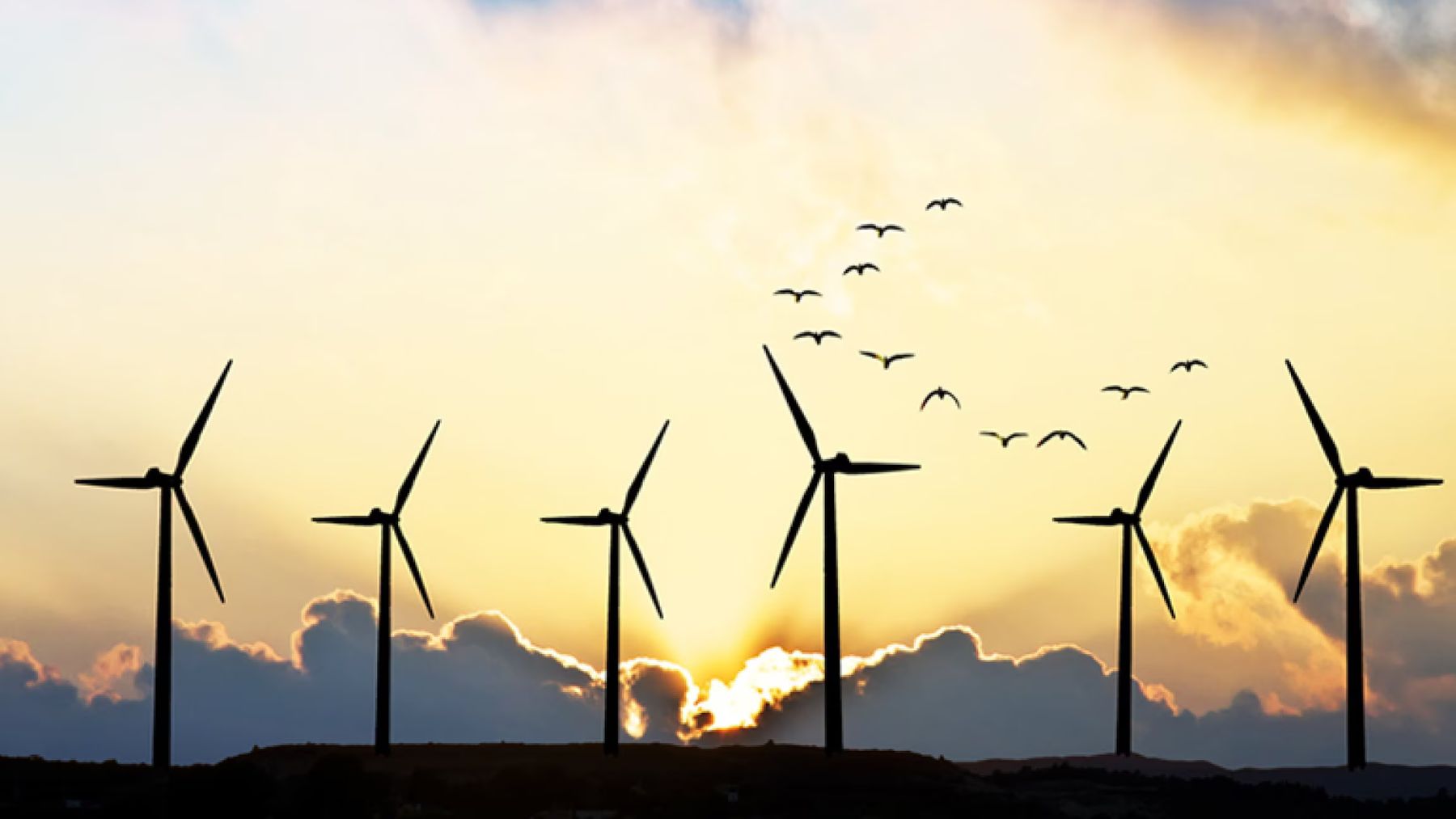 energia eolica Espana