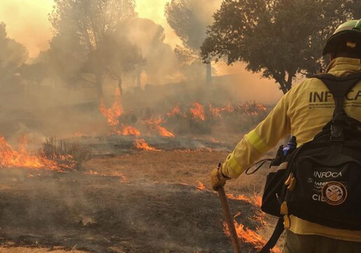Incendio forestal Sierra Andújar Jaén