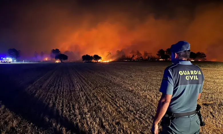 Incendio forestal Zamora Sejas de Aliste N-122