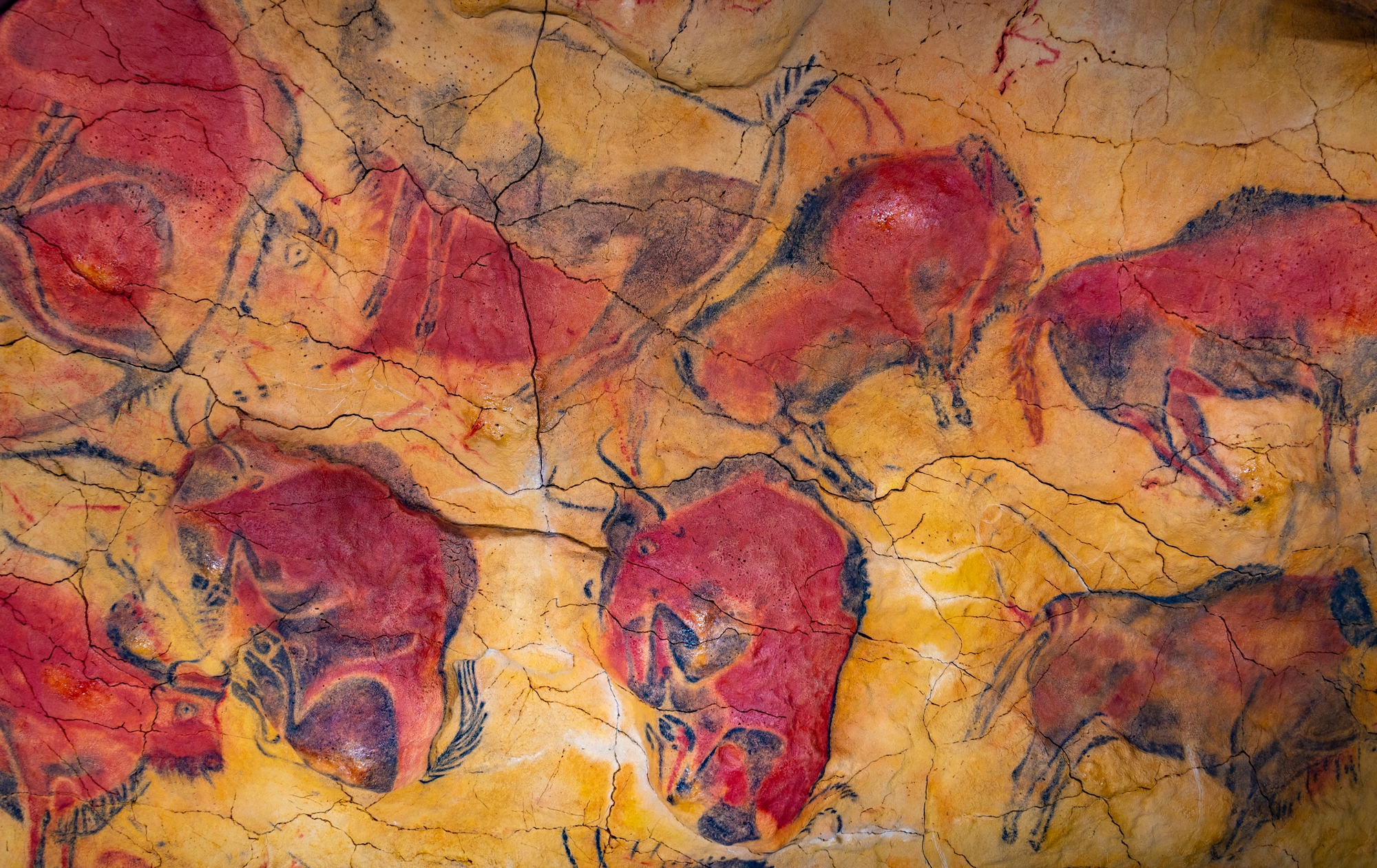 Obras de arte cambio climático Altamira