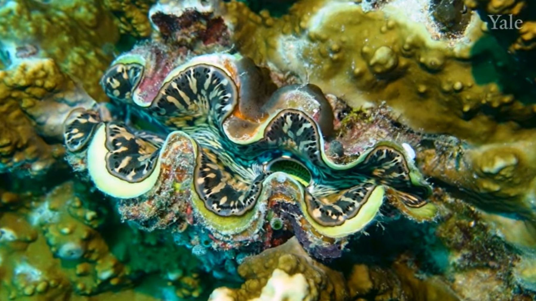 energía fotovoltaica, energía solar