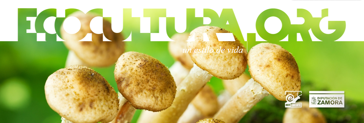 Ecocultura 2024 Encuentro Internacional Producción Ecológica