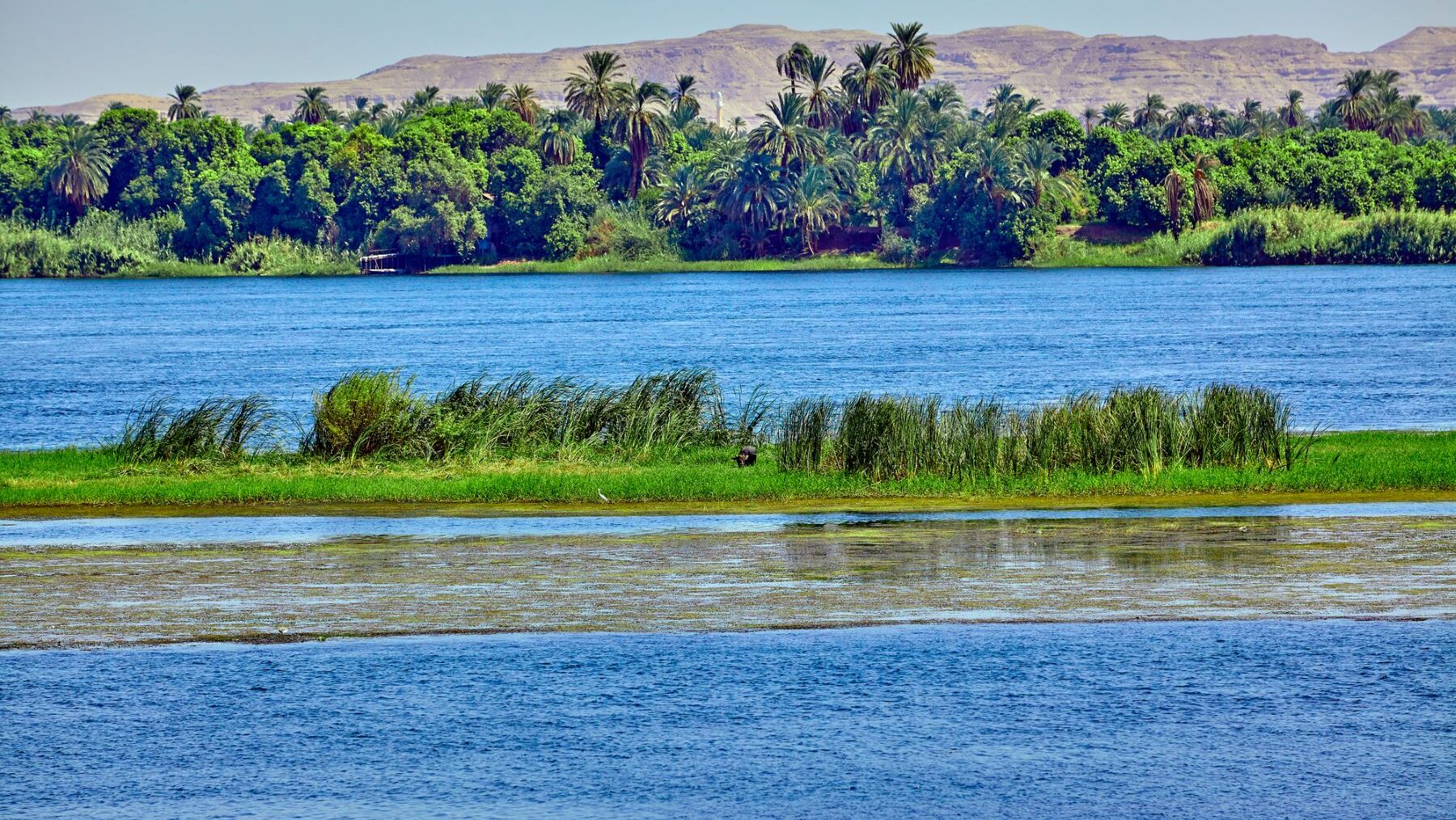 metano humedales costeros