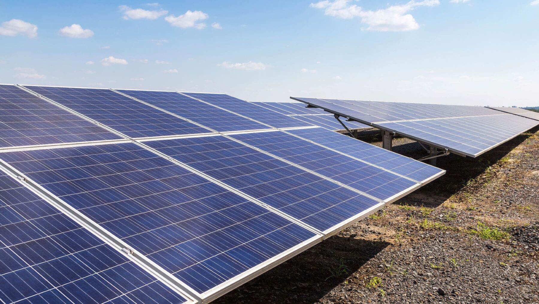 planta solar Campiña