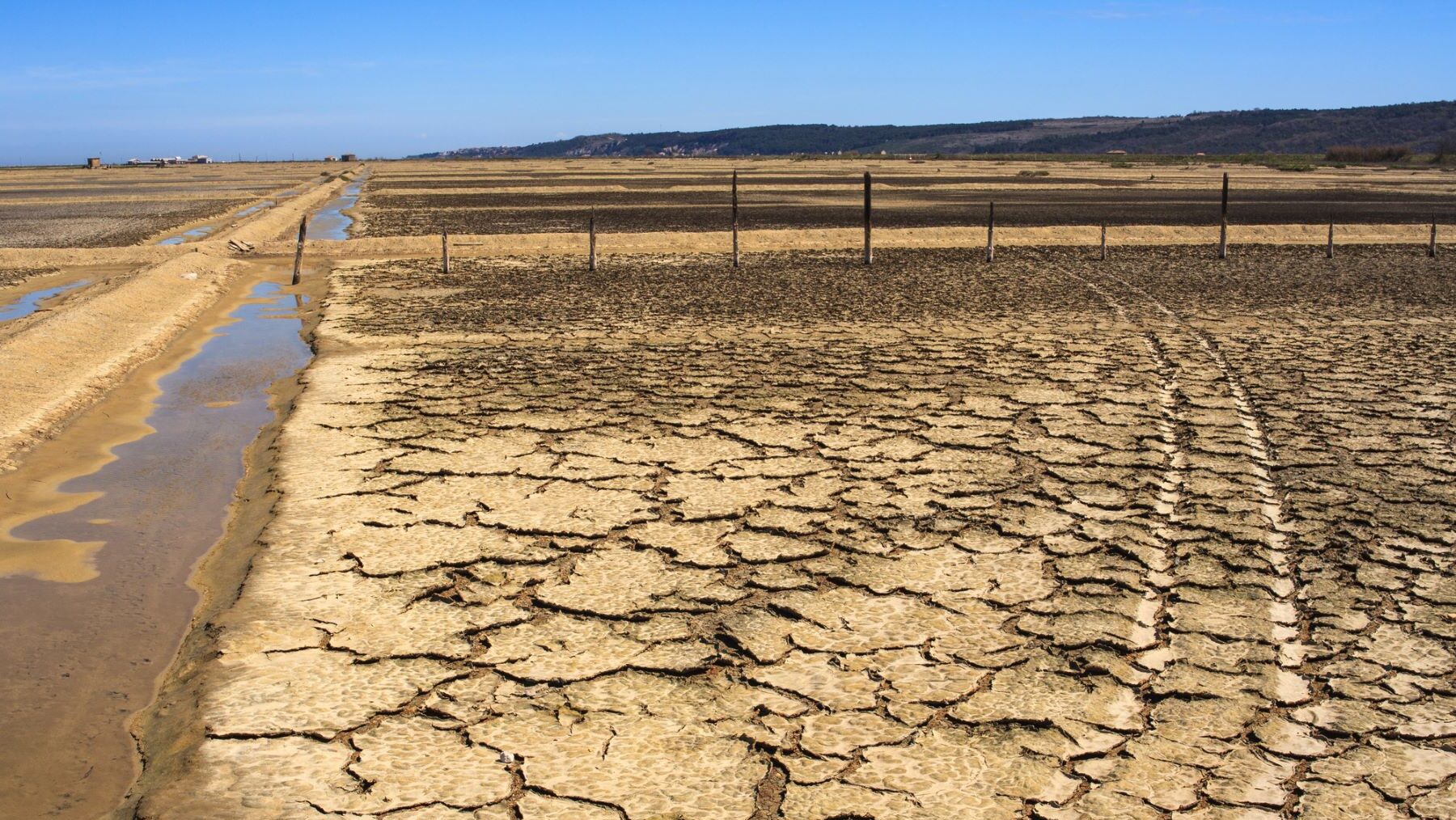 Fenómenos climáticos extremos