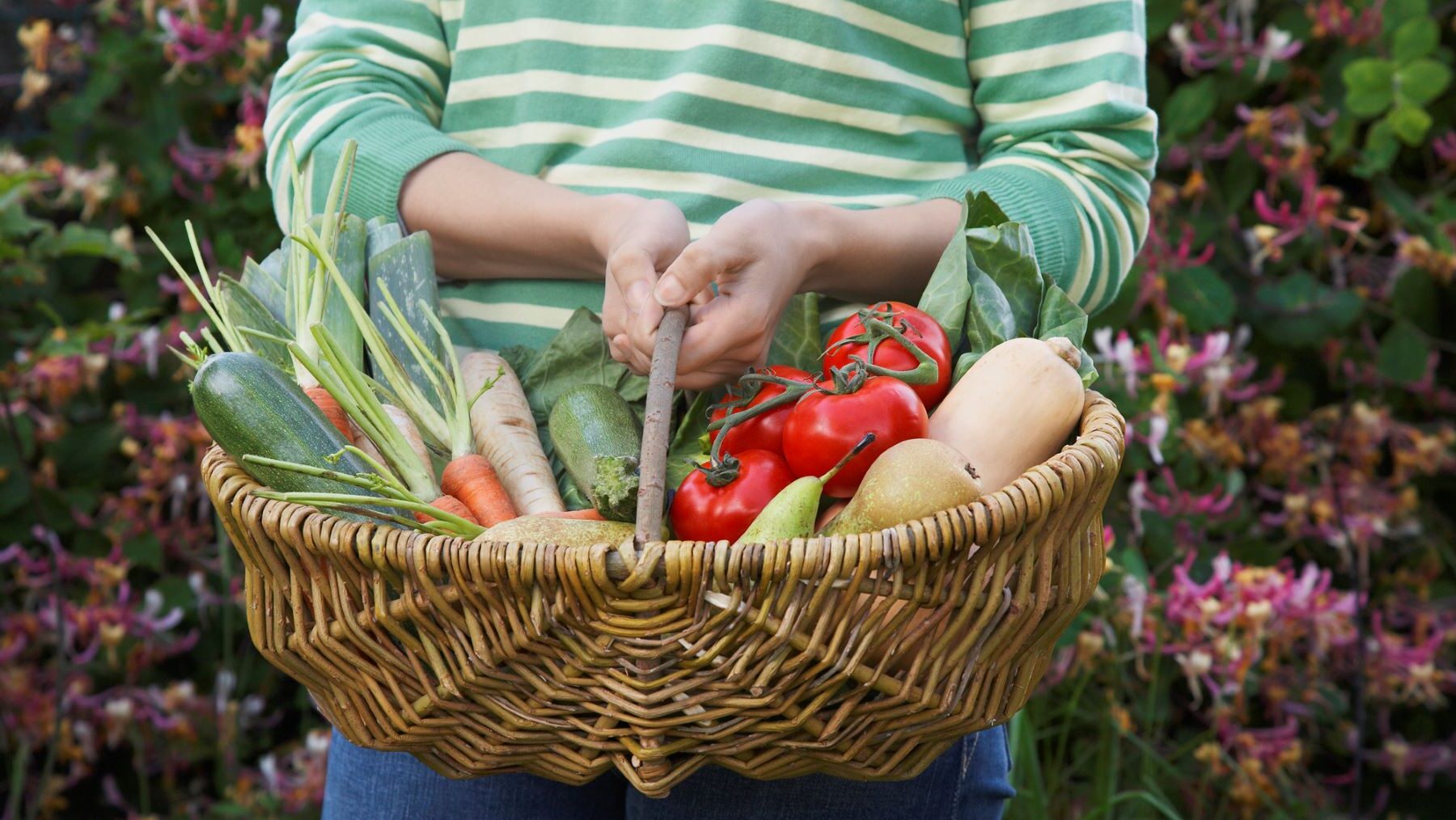 IX Feria Navarra Ecológica hoy productos