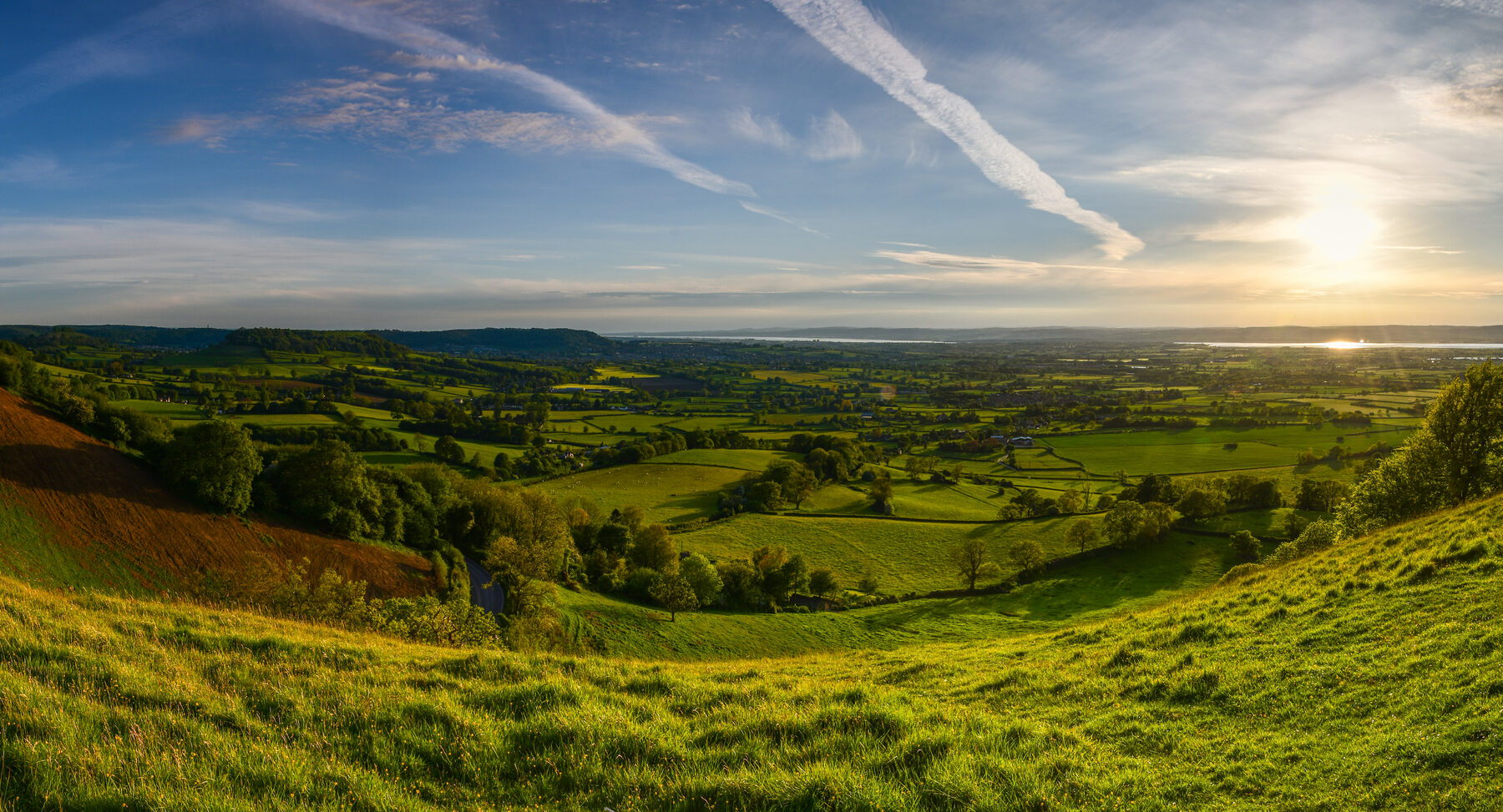 especies móviles conservación ecosistemas