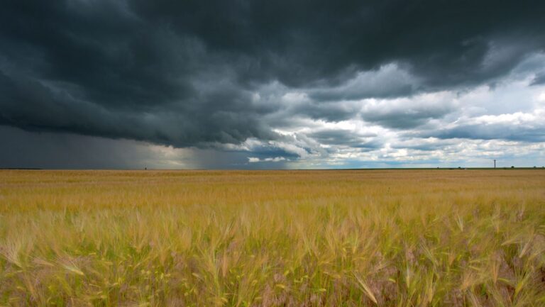 cambios climáticos