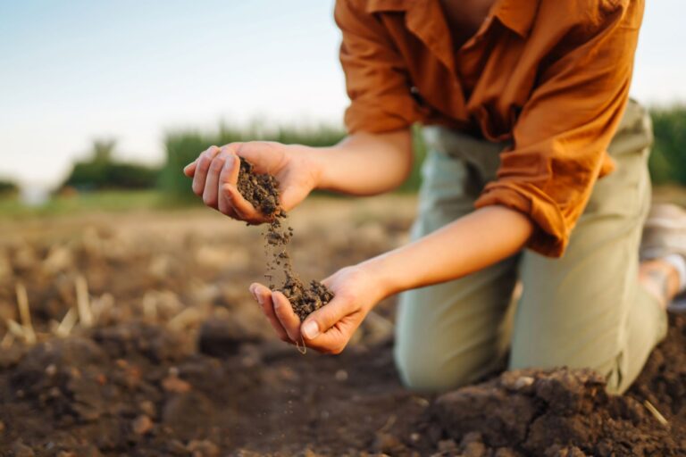 Agricultura regenerativa españa