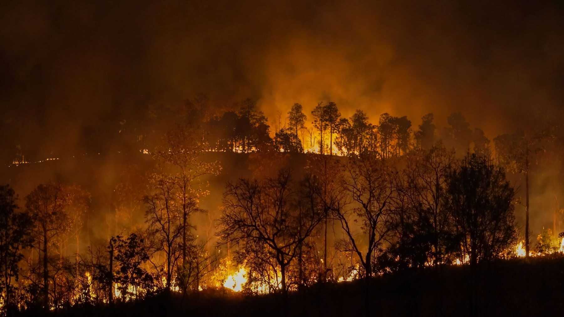 incendios Perú Bolivia