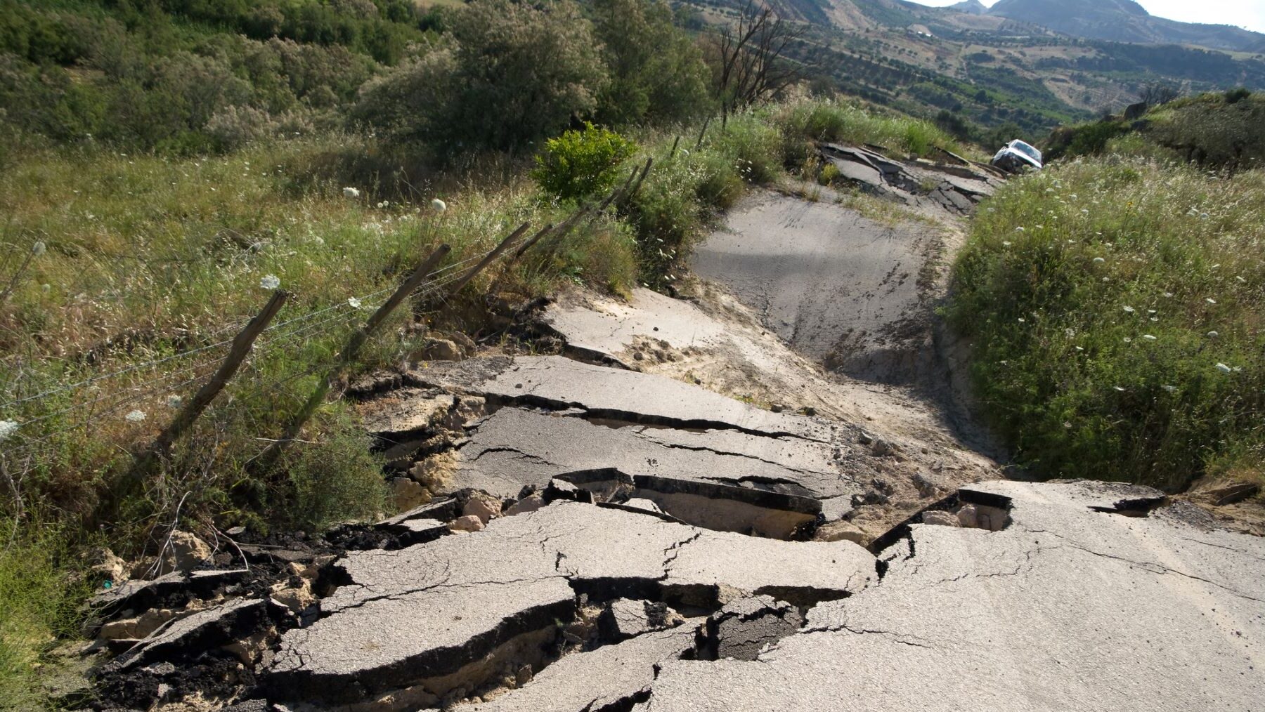 terremotos huracanes especies