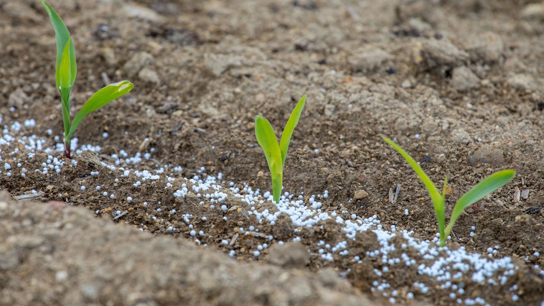 nitrógeno agricultura letal naturaleza