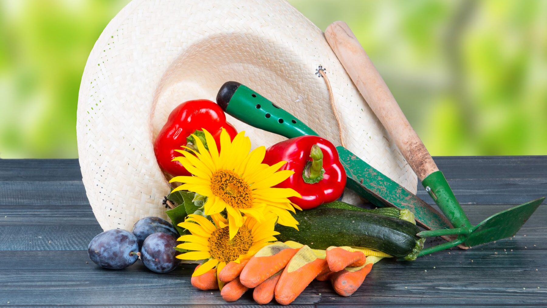 Día Agricultura Ecológica UE 2024